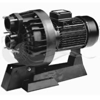 AstralPool Pumpe Modell einfach 3,5 CV Code 11504