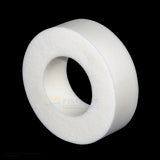 Anillo espuma - cepillo combinado para limpiafondos Dolphin