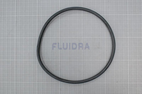 Junta torica de la tapa para filtro AstralPool de AstralPool