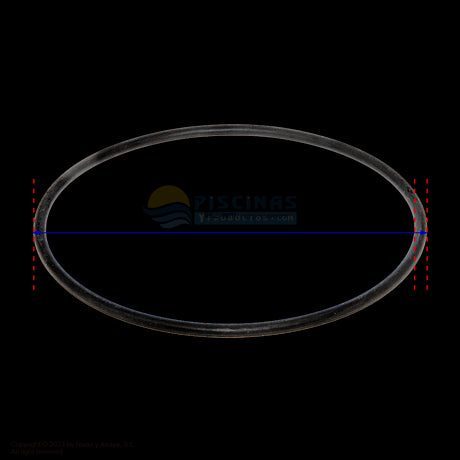 Junta tórica para filtros de piscinas de cierre con zuncho de AstralPool