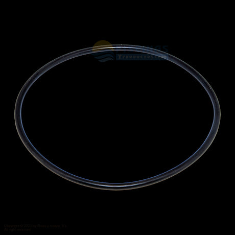 Junta tórica tapa filtro Astralpool Cantabric.