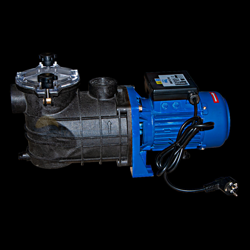 Bomba Bravia monofásica de 1,50 HP. 500569M. QP.