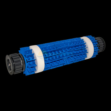 Conjunto cepillo azul S2 combinado limpiafondos Dolphin