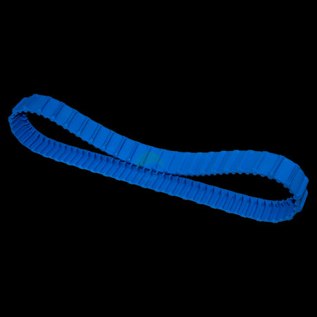 Correa S1, azul limpiafondos Dolphin