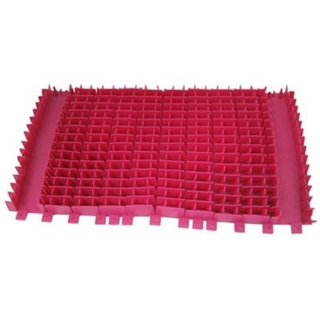 Cepillo PVC Magenta limpiafondos Dolphin