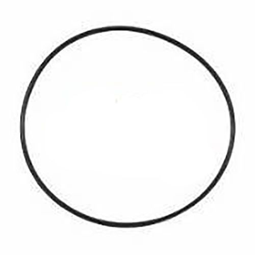 Junta tórica de estanqueidad de electrodo para Electrolisis Tri y Tri Expert de Zodiac