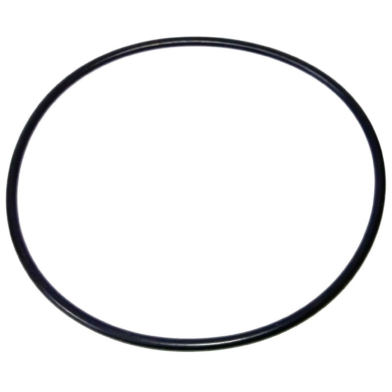 Junta tapa filtro S500/S650 Bluetank RPE-0211134