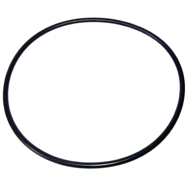 Junta tapa filtro S500/S650 Bluetank RPE-0211134