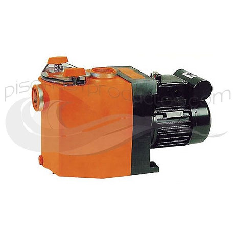 Bomba Badu 30/13 13 m³/h 1 CV trifásica