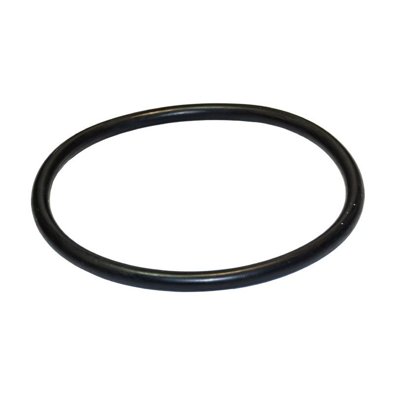 Junta torica del prefiltro de la bomba Optima ( 97,8 x 5,34 ) de Saci Pumps