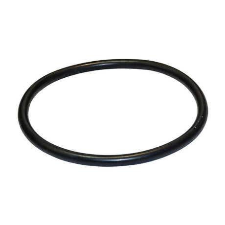 Junta torica del prefiltro de la bomba Optima ( 97,8 x 5,34 ) de Saci Pumps