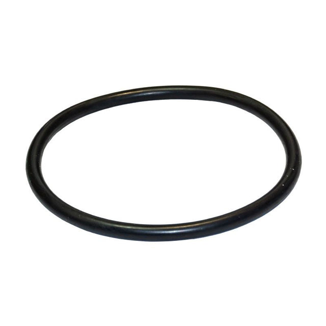 Junta torica del prefiltro de la bomba Optima ( 97,8 x 5,34 ) de Saci Pumps